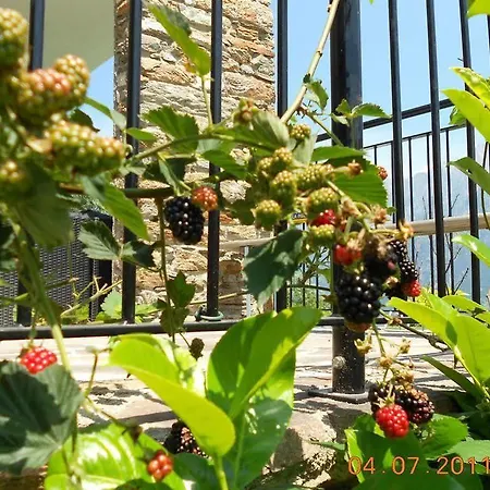 Cacrusca Hébergement de vacances *