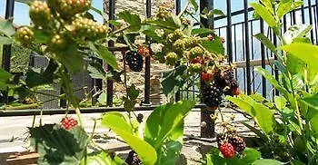 Holiday home Cacrusca *